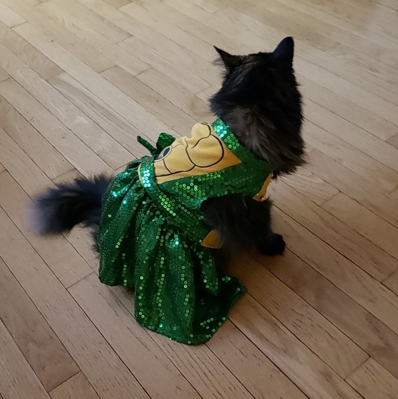 Dog/cat costumes plaid coat and ninja turtle - Picture 7 of 7